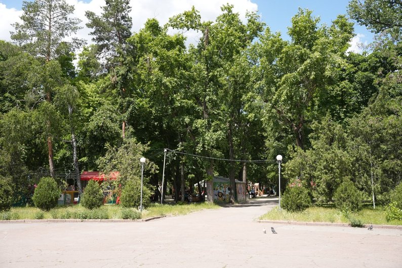 Європейський день парків. Які є в Кропивницькому і як там можна відпочити