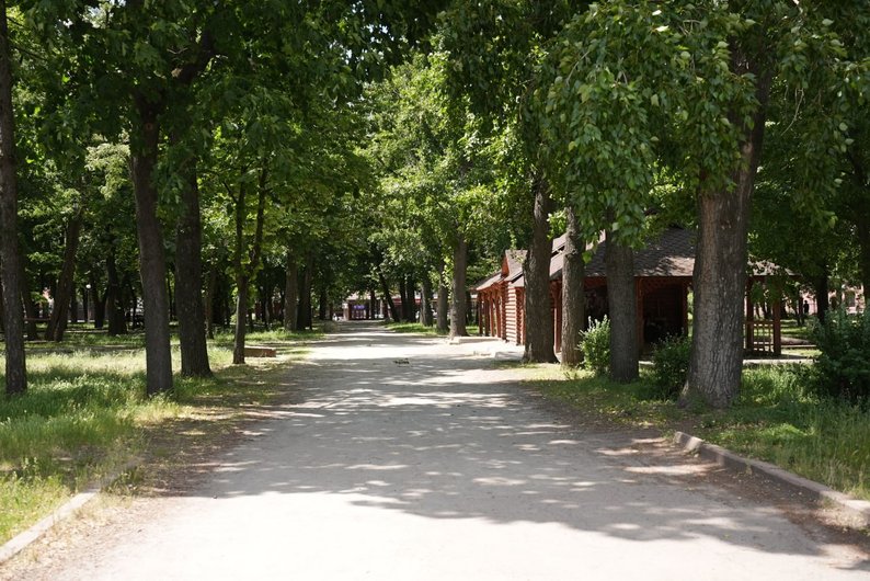 Європейський день парків. Які є в Кропивницькому і як там можна відпочити