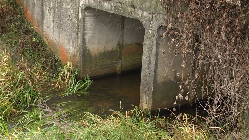 У селі не буде води — в громаді на Житомирщині люди виступають проти розробки доломітового кар'єру У селі не буде води — в громаді на Житомирщині люди виступають проти розробки доломітового кар'єру