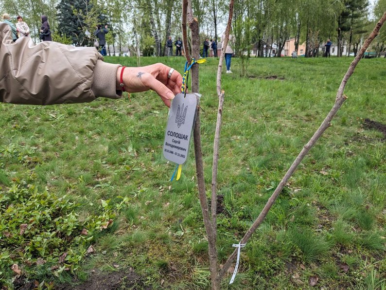 У Житомирі в пам'ять про загиблих військових висадили 22 дерева біля Монументу слави