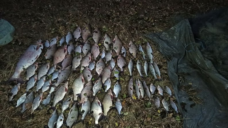 На Житомирщині затримали браконьєра, який незаконно наловив риби майже на двісті тисяч гривень