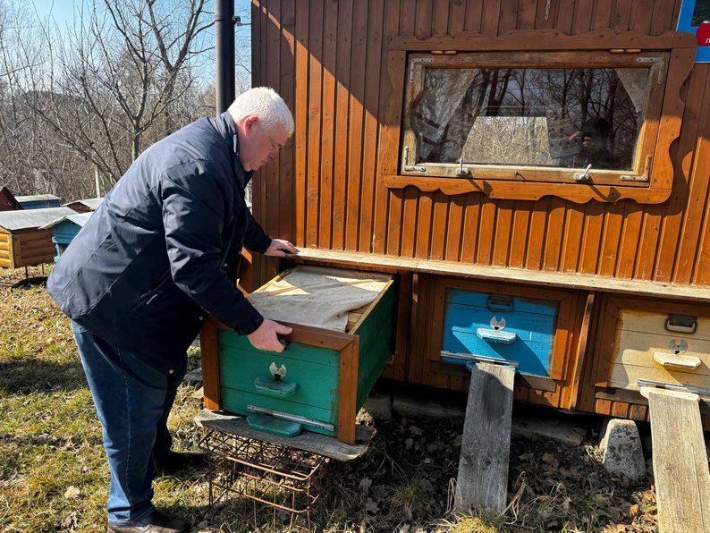 Масова загибель бджіл після зими: які причини на Вінниччині