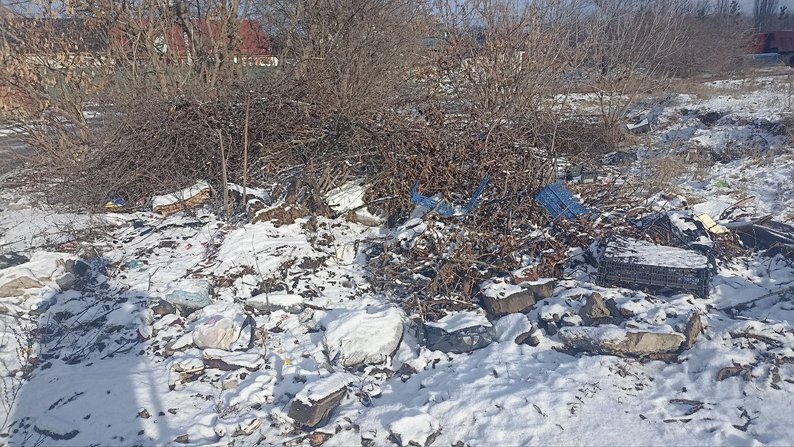 Стихійне сміттєзвалище в Житомирі: реакція екологів та міської ради Стихійне сміттєзвалище в Житомирі: реакція екологів та міської ради