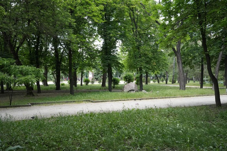 Європейський день парків. Які є в Кропивницькому і як там можна відпочити