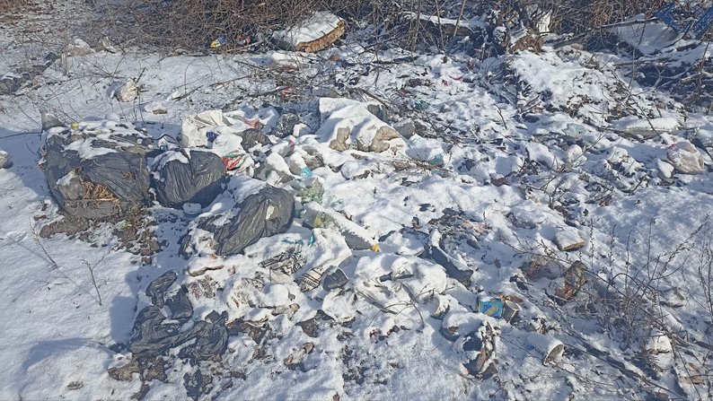 Стихійне сміттєзвалище в Житомирі: реакція екологів та міської ради Стихійне сміттєзвалище в Житомирі: реакція екологів та міської ради