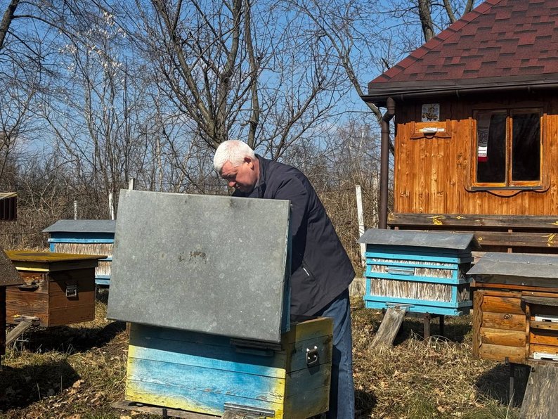 Масова загибель бджіл після зими: які причини на Вінниччині