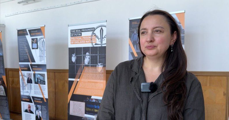Olena Shevchenko, exhibition