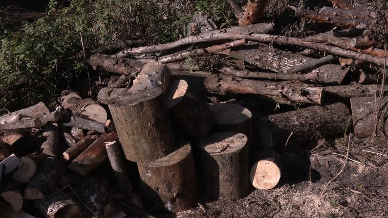 "Більшість жителів сіл на Чернігівщині — порушники": яка відповідальність за зберігання дров без документів