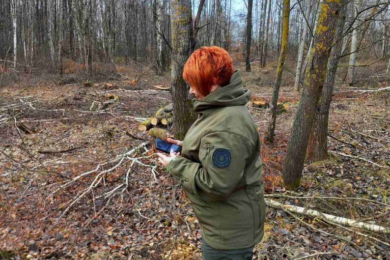 Кілька гектарів дерев вирубали на околицях села в Житомирській області: що відомо про ситуацію Кілька гектарів дерев вирубали на околицях села в Житомирській області: що відомо про ситуацію