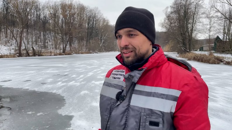 "Вони залишилися в надії, що люди не дадуть їм пропасти": як на Чернігівщині рятували двох лебедів із замерзлого озера