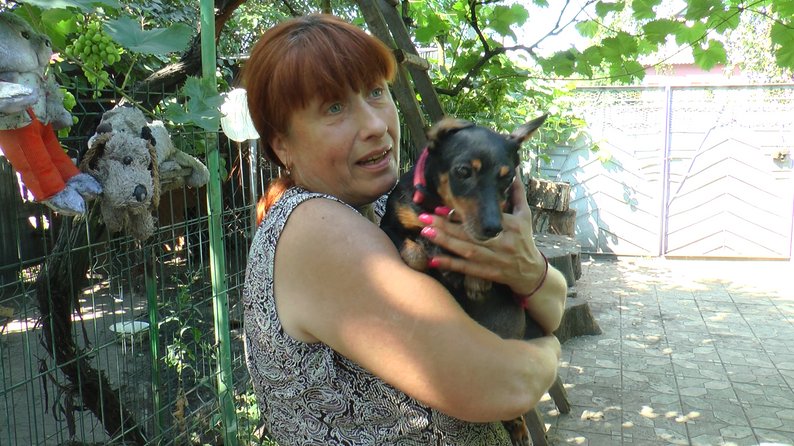 Притулок тварини собаки волонтери Добропілля Донецька область