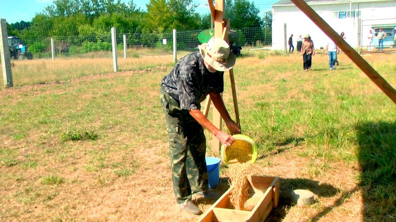 Олені, равлики та велика рогата худоба: на Вінниччині створюють "Агро кемп", який об'єднає 15 міні-ферм