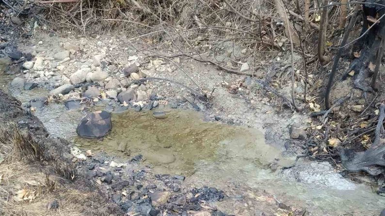 Нафтопродуктів у річці Стримба на Франківщині уп'ятеро більше за гігієнічні нормативи