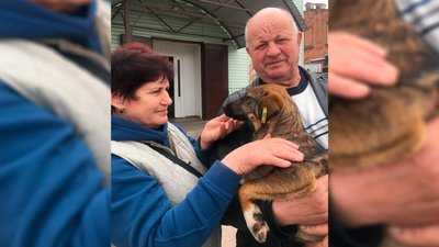 У Ніжині роздавали собак, яких привезли з прикордоння Сумщини