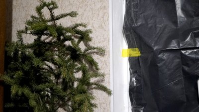 Ялинка у військових на позиціях в новорічну ніч