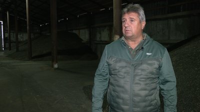 "Якби не картопля, як би й виживали": чому фермери Чернігівщини не мають прибутків, попри високу врожайність зернових