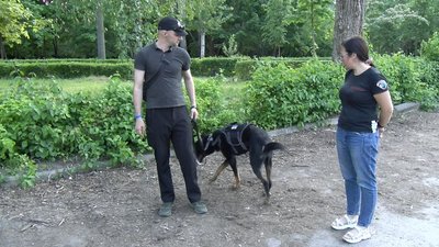 "Обійми друзів": як волонтери з Луцька допомагають тваринами під час війни