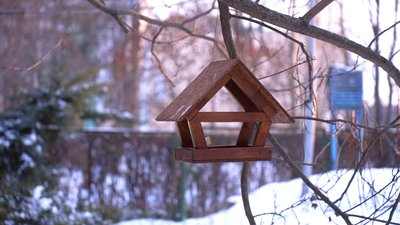 Майструють годівнички та роблять запаси їжі: у Вінниці відвідувачі станції юних натуралістів підгодовують птахів