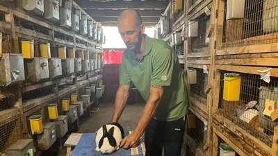 Волинянин на своїй міні фермі готовий прихистити евакуйованих тварин з областей, де тривають бойові дії