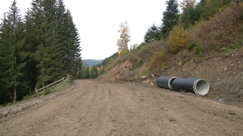 Держпідприємство "Ліси України" хоче створити документ "Настанова з проєктування лісових доріг"