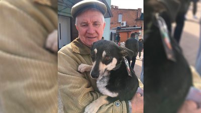 У Ніжин зооволонтери роздавали собак, яких привезли з прикордоння Сумщини