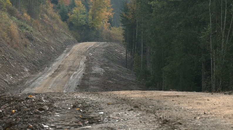 За однією версією, мета ремонту лісового шляху — доступ до лісів в разі пожежі, а також для санітарних рубок лісу