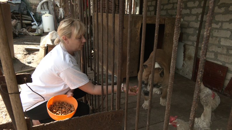 Покинуті тварини коти собаки допомога жителька Краматорськ
