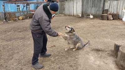"Гниле місце". Як живуть люди у селі, яке розташоване на болотах на Сумщині "Гниле місце". Як живуть люди у селі, яке розташоване на болотах на Сумщині