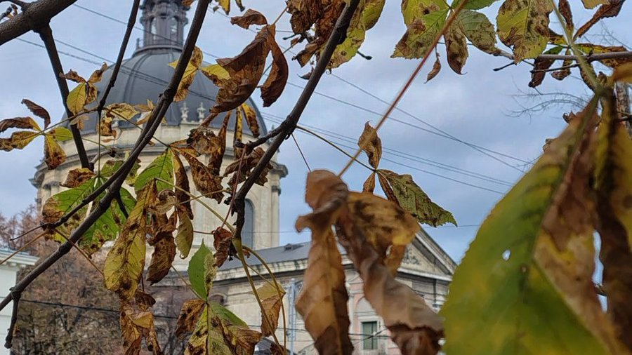 Погода у Львові 16 вересня: туман вранці, до 26 градусів вдень та південно-західний вітер