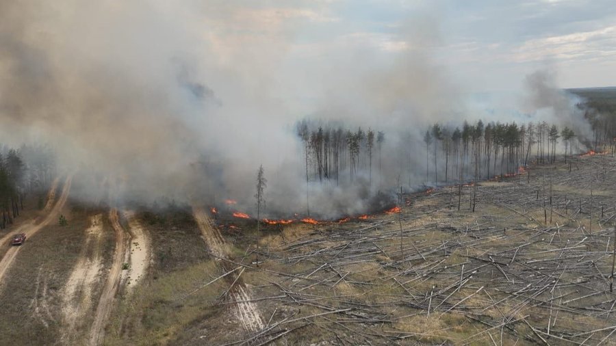 Горить ліс на Харківщині