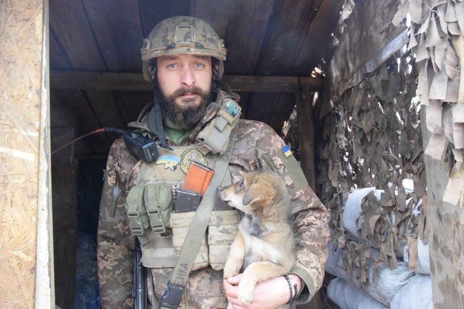 Воюють разом з нами: воїни 30 бригади з Житомирщини показали своїх фронтових тварин