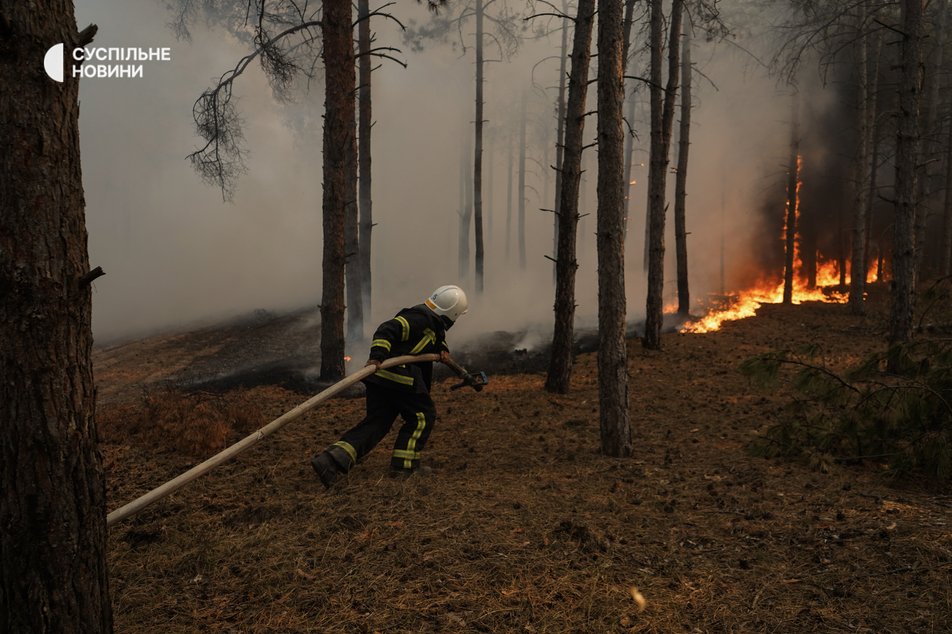 Рятувальник гасить пожежу у Галицинівському лісі під Миколаєвом, вересень 2022 року
