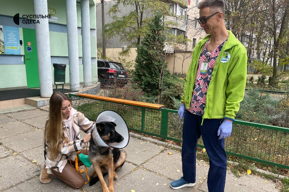 "Був в дуже поганому стані": в Одесі лікують песика, пораненого внаслідок обстрілу на Херсонщині
