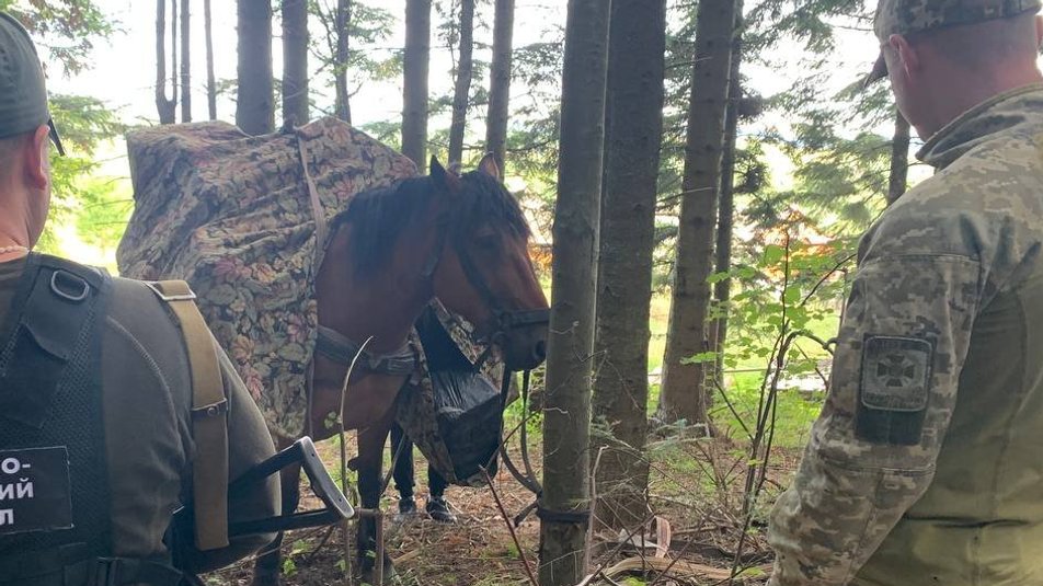 У Чернівецькій області люди конем намагалися доправити тютюн до Румунії — правоохоронці