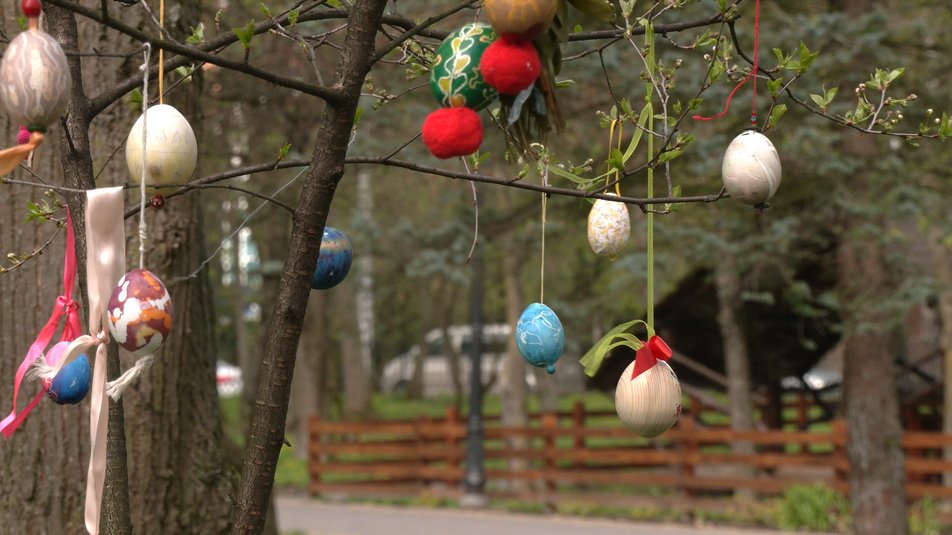 У парку імені Шевченка в Івано-Франківську діти прикрасили писанками дерево