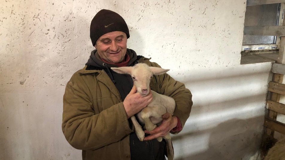 Врятували кіз, овець та віслючка. Як ферма на Прикарпатті стала прихистком для понад пів сотні тварин