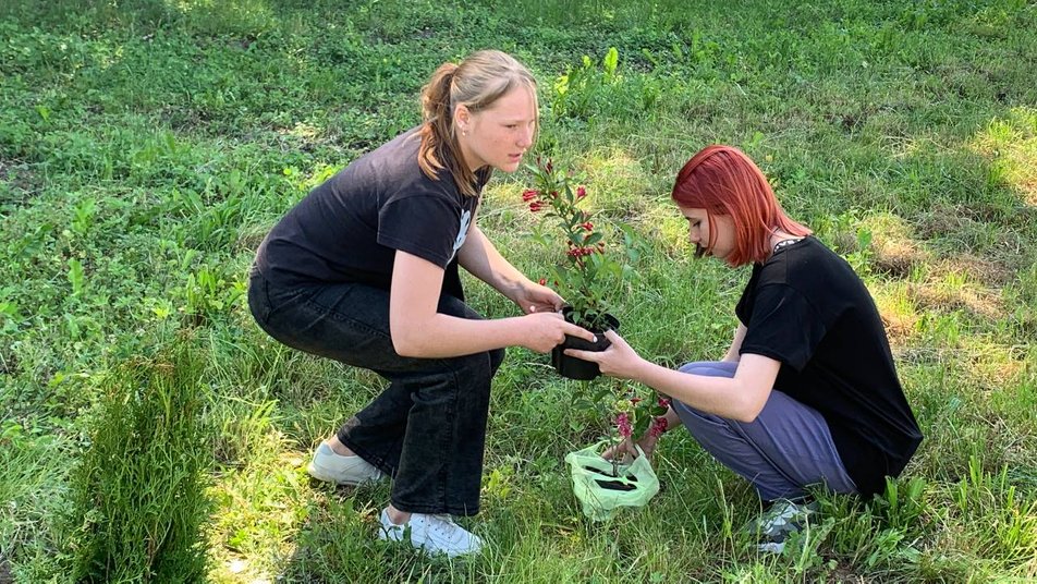 Випускники однієї з гімназій Житомирщини замінили випускний бал висадкою дерев у парку