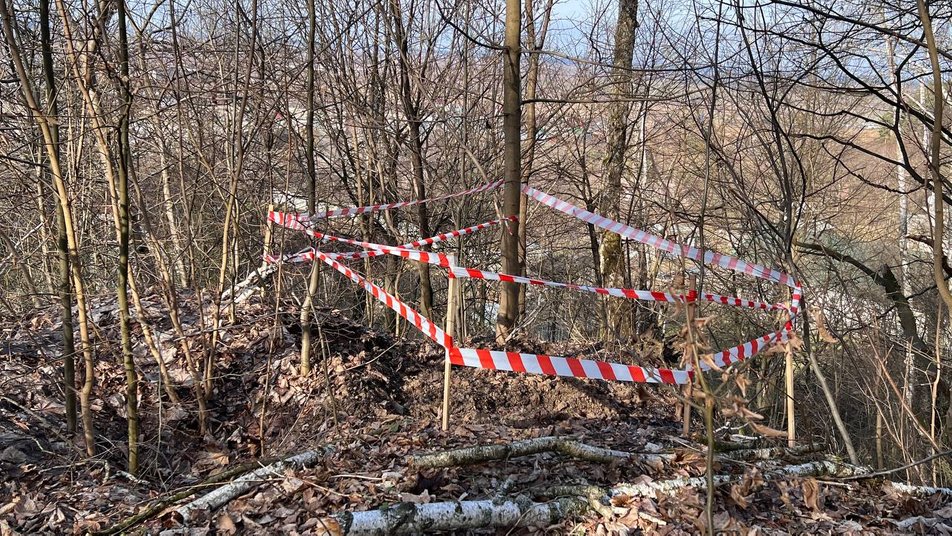 "Глибина дуже велика": що кажуть жителі про провалля у лісі на Тернопільщині