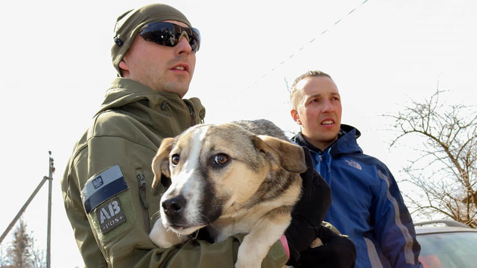 Волонтери з Польщі привезли допомогу у притулок для тварин "Дім Сірка" на Франківщину