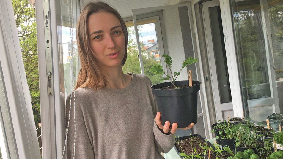 Від кропу до томатів: лучанка вирощує на балконі 20 видів городини