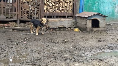  вчителька з с. Солдатське розповіла про влучання авіабомби біля її дому