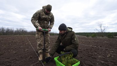 "Зелена країна". На Миколаївщині висаджували лісові дерева