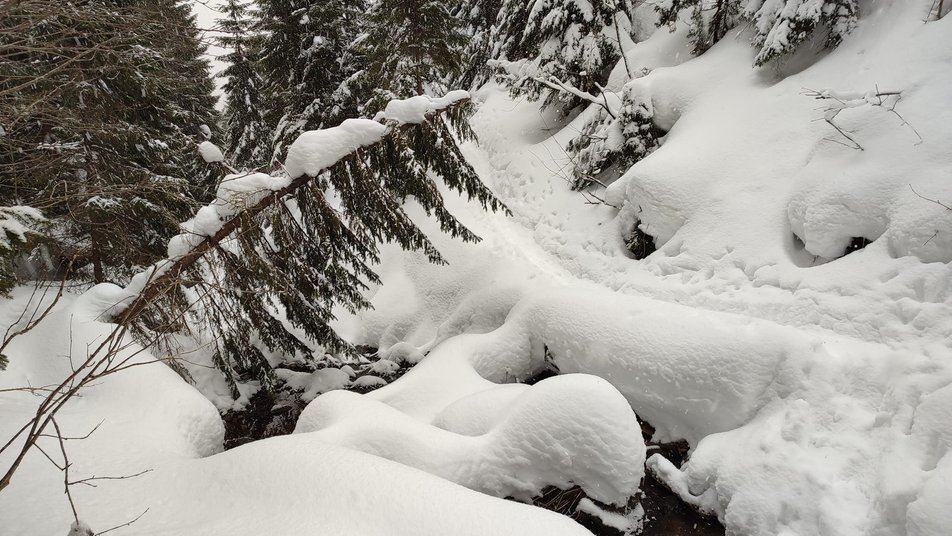 У високогір'ї Карпат синоптики прогнозують сніголавинну небезпеку