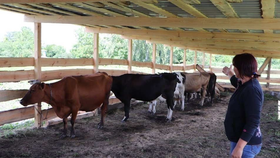 “Мабуть, Сергіївка – це назавжди”: як родина ВПО із Донеччини створила молочну ферму на Полтавщині